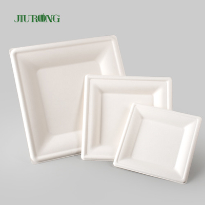 Plat jetable biodégradable de papier d'emballage pour la copie faite sur commande en vrac de partie