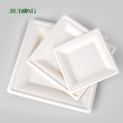 Plat jetable biodégradable de papier d'emballage pour la copie faite sur commande en vrac de partie