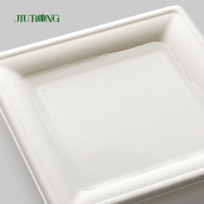 Plat jetable biodégradable de papier d'emballage pour la copie faite sur commande en vrac de partie