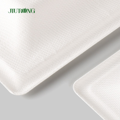 Plat jetable biodégradable de papier d'emballage pour la copie faite sur commande en vrac de partie