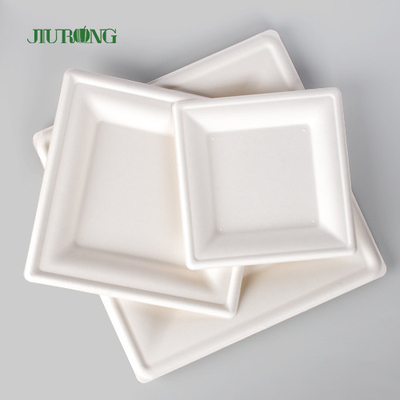 Plat jetable biodégradable de papier d'emballage pour la copie faite sur commande en vrac de partie