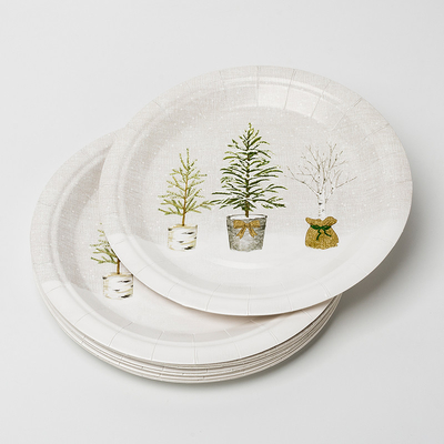 Ensemble mis en pot compostable biodégradable de vaisselle d'approvisionnements de fête d'anniversaire d'usine de plaques à papier de LFGB
