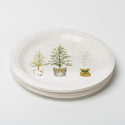Ensemble mis en pot compostable biodégradable de vaisselle d'approvisionnements de fête d'anniversaire d'usine de plaques à papier de LFGB
