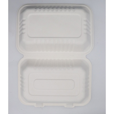 Récipient Alimentaire Bagasse Canne À Sucre