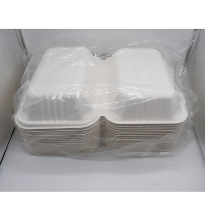 Récipient Alimentaire Bagasse Canne À Sucre