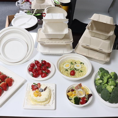 Récipient Alimentaire Bagasse Canne À Sucre