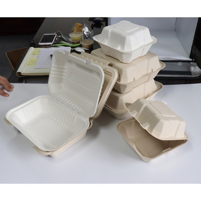 Récipient Alimentaire Bagasse Canne À Sucre