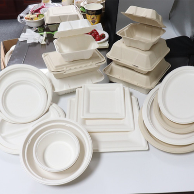 Récipient Alimentaire Bagasse Canne À Sucre