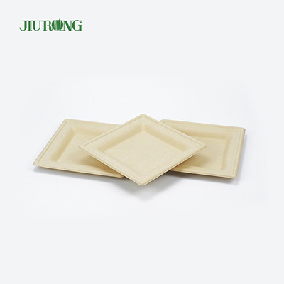Plateau biodégradable biodégradable de sushi de bagasse de récipient de nourriture de canne à sucre jetable écologique