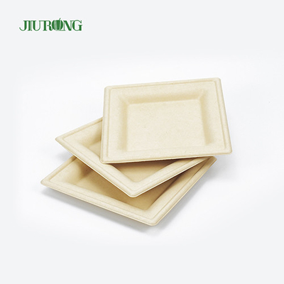 Plateau biodégradable biodégradable de sushi de bagasse de récipient de nourriture de canne à sucre jetable écologique