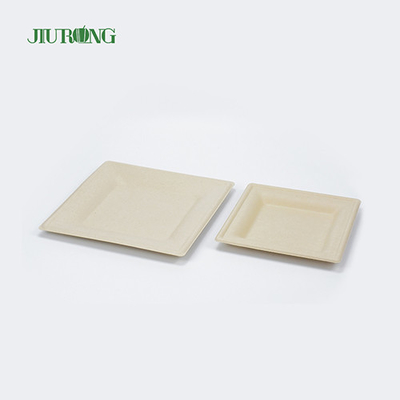 Assiettes à dîner en papier blanc de récipient de nourriture de canne à sucre de stratification de Matt Jiurong