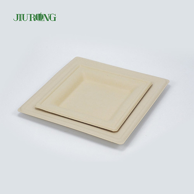 Assiettes à dîner en papier blanc de récipient de nourriture de canne à sucre de stratification de Matt Jiurong