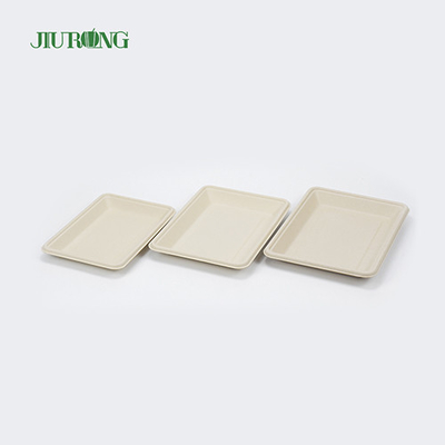 Plateau de service de restauration rapide en PLA bagasse biodégradable