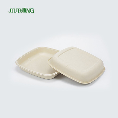 Assiettes en papier de canne à sucre jetables à emporter de bagasse biodégradables