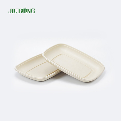 Plat biodégradable écologique de canne à sucre de sushi de plateau de nourriture compostable
