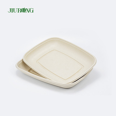 Plat biodégradable écologique de canne à sucre de sushi de plateau de nourriture compostable