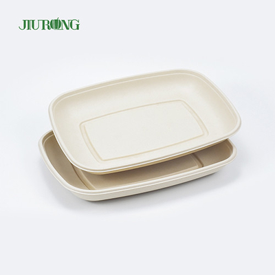 Plat biodégradable écologique de canne à sucre de sushi de plateau de nourriture compostable