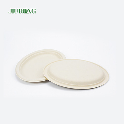 Stratification jetable de Matt d'emballage alimentaire biodégradable de canne à sucre de nouille