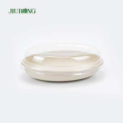 Récipient jetable écologique de nourriture de bagasse de canne à sucre biodégradable