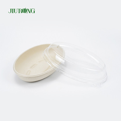 Récipient jetable écologique de nourriture de bagasse de canne à sucre biodégradable