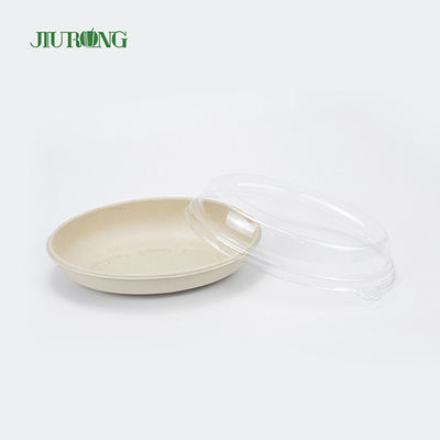 Récipient jetable écologique de nourriture de bagasse de canne à sucre biodégradable