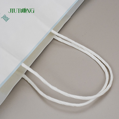 Sacs en papier kraft personnalisés biodégradables imperméables Eco friendly 320mm