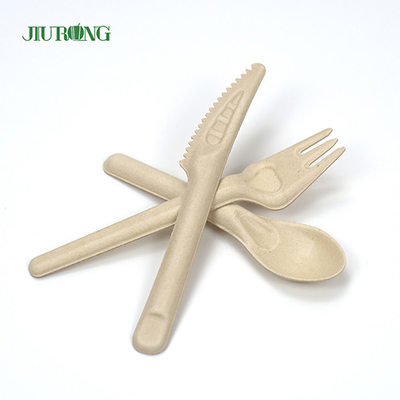 Cuillère de fourchette de couteau de bagasse de canne à sucre de couverts jetables biodégradables faits sur commande