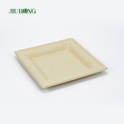 Plateau biodégradable biodégradable de sushi de bagasse de récipient de nourriture de canne à sucre jetable écologique
